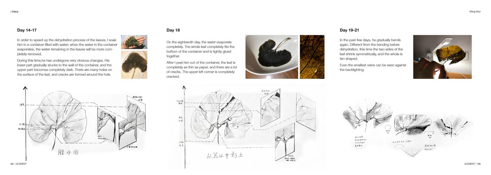 ELEMENT — 3